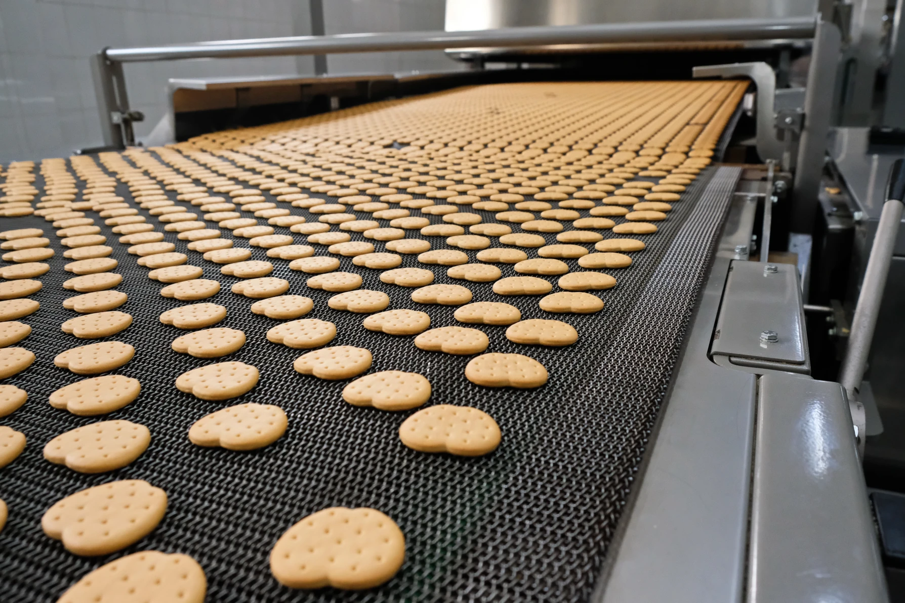 cinta transportadora para galletas